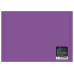 Конверт на кнопке Бюрократ -PK803TА5VIO A5 гориз. пластик 0.15мм фиолетовый