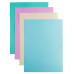 Папка-уголок Бюрократ Pastel -EPAST/PINK A4 пластик 0.18мм розовый